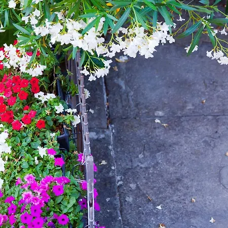 Old Town Castropola アパート